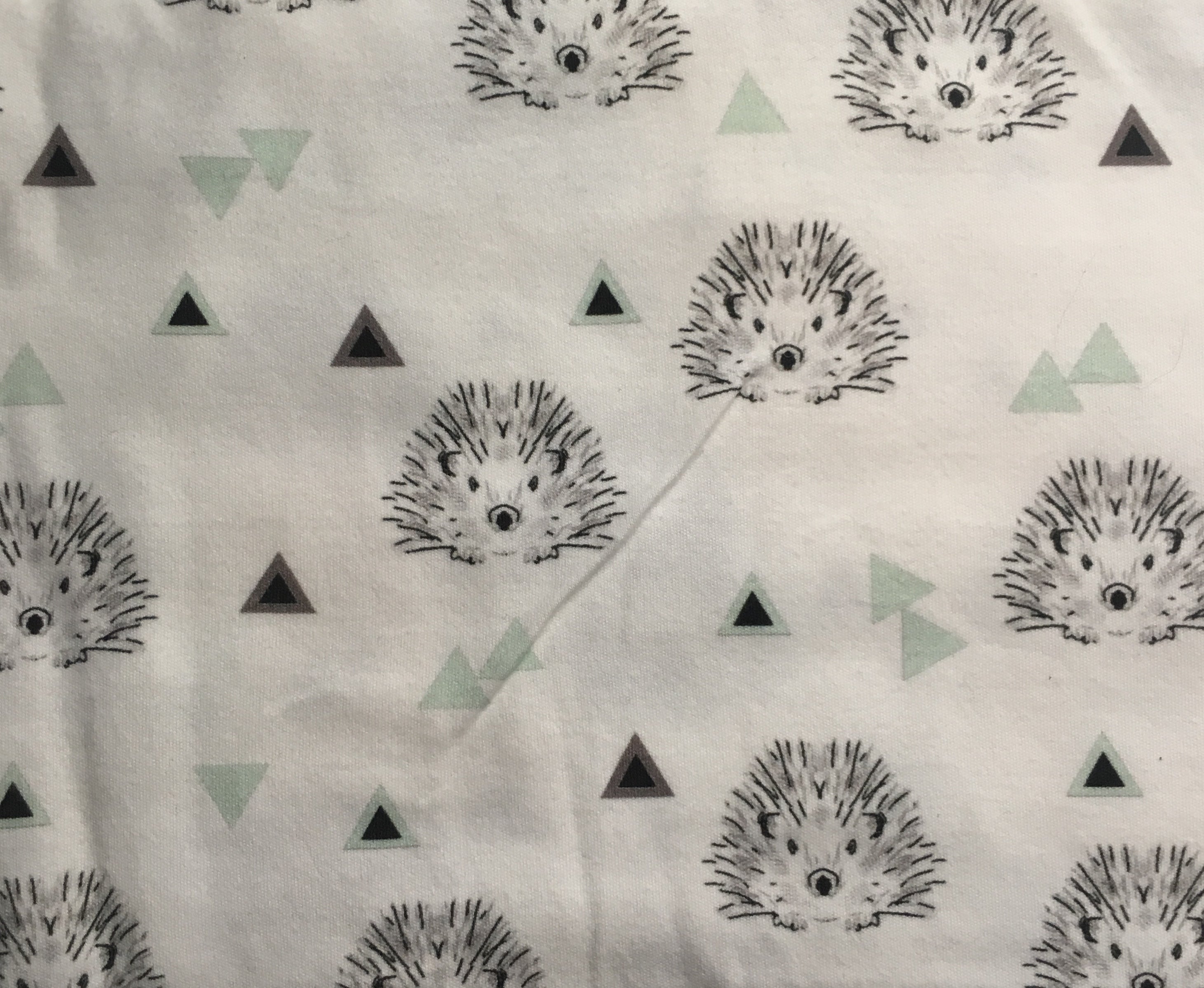 Little Hedgehogs